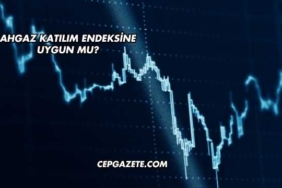 Ahgaz Katılım Endeksine Uygun mu?