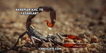 Akrepler Kaç Yıl Yaşarlar?