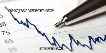 Bilançoda Neler Yer Alır?