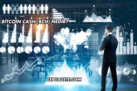 Bitcoin Cash (BCH) Nedir?