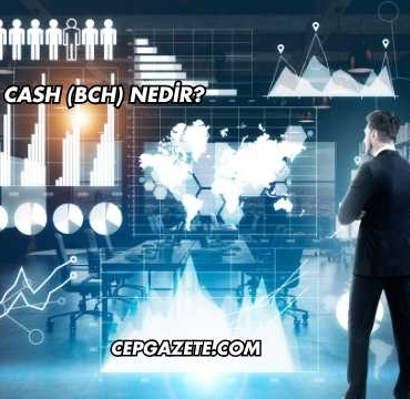Bitcoin Cash (BCH) Nedir?