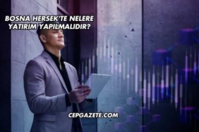 Bosna Hersek'te Nelere Yatırım Yapılmalıdır?