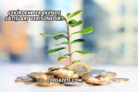 Çekirdek Perakende Satışları Verisi Nedir?