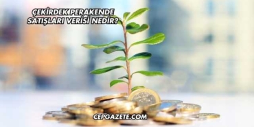 Çekirdek Perakende Satışları Verisi Nedir?