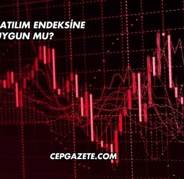 DOAS Katılım Endeksine Uygun mu?