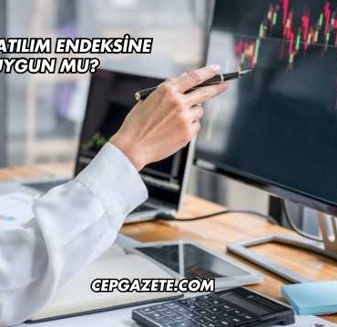 Dmr Katılım Endeksine Uygun mu?