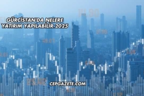 Gürcistan'da Nelere Yatırım Yapılabilir 2025