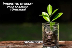 İnternetten En Kolay Para Kazanma Yöntemleri