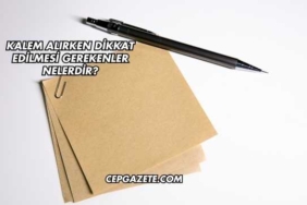 Kalem Alırken Dikkat Edilmesi Gerekenler Nelerdir?