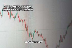 Mega Metal Katılım Endeksine Uygun mu?