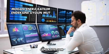 Mogan Enerji Katılım Endeksine Uygun mu?