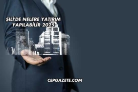 Şili'de Nelere Yatırım Yapılabilir 2025