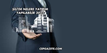 Şili'de Nelere Yatırım Yapılabilir 2025