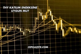 THY Katılım Endeksine Uygun mu?