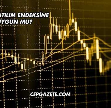 THY Katılım Endeksine Uygun mu?