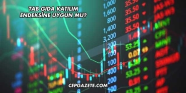 Tab Gıda Katılım Endeksine Uygun mu?