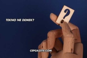 Tekno Ne Demek?
