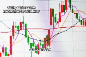 Yiğit Akü Katılım Endeksine Uygun mu?