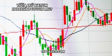 Yiğit Akü Katılım Endeksine Uygun mu?