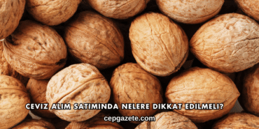 Ceviz Alım Satımında Nelere Dikkat Edilmeli?