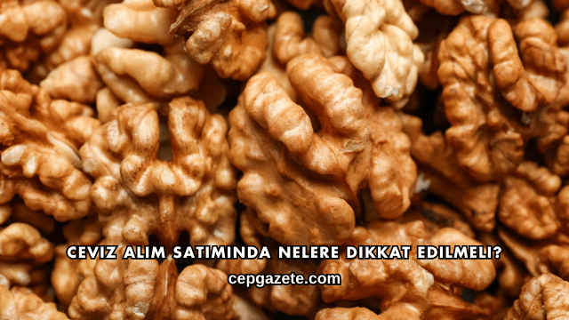 Ceviz Alım Satımında Nelere Dikkat Edilmeli?