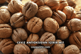 Ceviz Antioksidan İçerir mi?