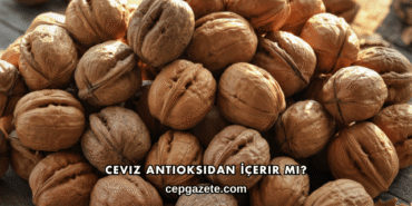 Ceviz Antioksidan İçerir mi?