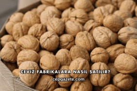 Ceviz Fabrikalara Nasıl Satılır?