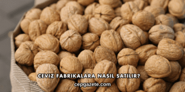 Ceviz Fabrikalara Nasıl Satılır?