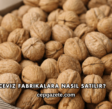 Ceviz Fabrikalara Nasıl Satılır?