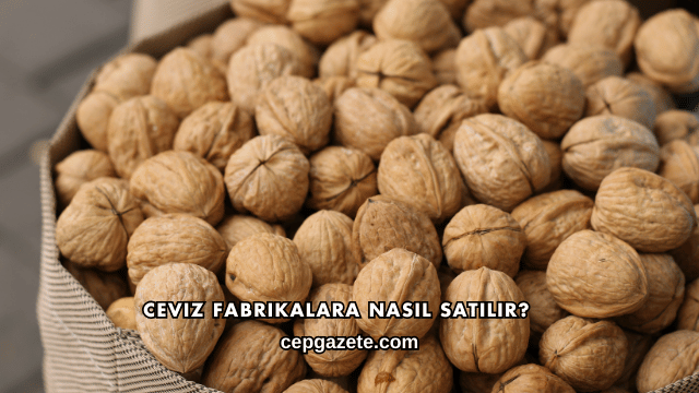 Ceviz Fabrikalara Nasıl Satılır?