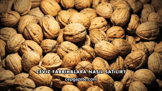 Ceviz Fabrikalara Nasıl Satılır?