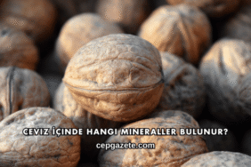 Ceviz İçinde Hangi Mineraller Bulunur?