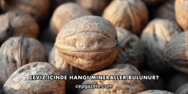 Ceviz İçinde Hangi Mineraller Bulunur?