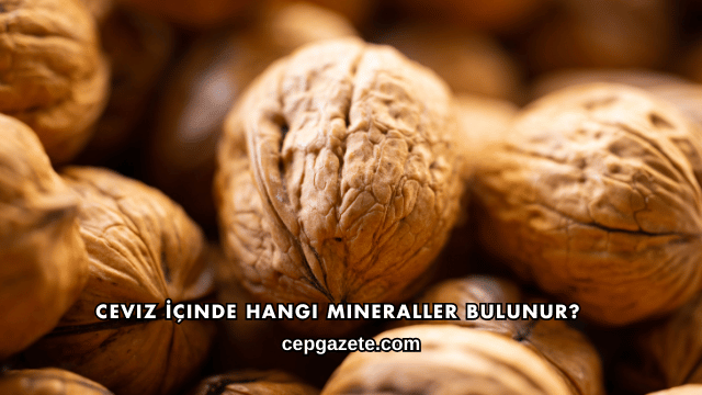 Ceviz İçinde Hangi Mineraller Bulunur?