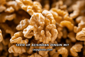 Ceviz Lif Açısından Zengin mi?