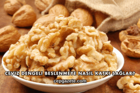 Ceviz Dengeli Beslenmeye Nasıl Katkı Sağlar?