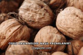 Ceviz Pastanelere Nasıl Pazarlanır?