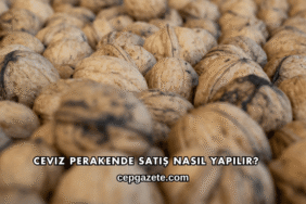 Ceviz Perakende Satış Nasıl Yapılır?