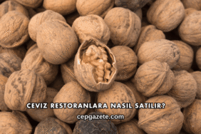 Ceviz Restoranlara Nasıl Satılır?