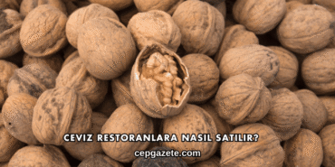 Ceviz Restoranlara Nasıl Satılır?