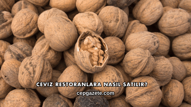 Ceviz Restoranlara Nasıl Satılır?