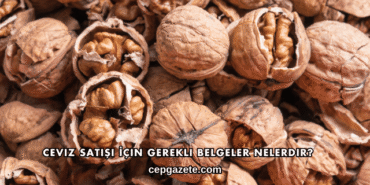 Ceviz Satışı İçin Gerekli Belgeler Nelerdir?