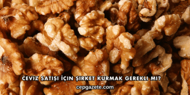 Ceviz Satışı İçin Şirket Kurmak Gerekli mi?