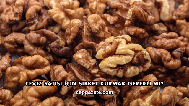 Ceviz Satışı İçin Şirket Kurmak Gerekli mi?