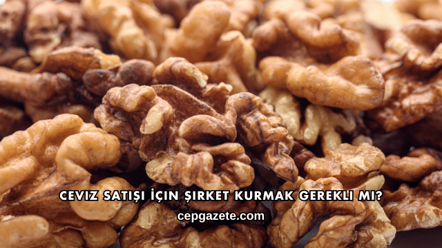 Ceviz Satışı İçin Şirket Kurmak Gerekli mi?