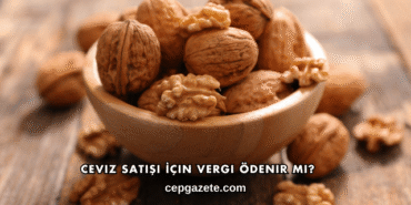 Ceviz Satışı İçin Vergi Ödenir mi