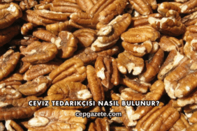 Ceviz Tedarikçisi Nasıl Bulunur?
