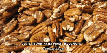 Ceviz Tedarikçisi Nasıl Bulunur?