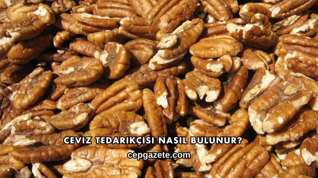 Ceviz Tedarikçisi Nasıl Bulunur?